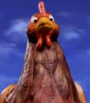 Mother Hen