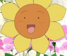 Blossom