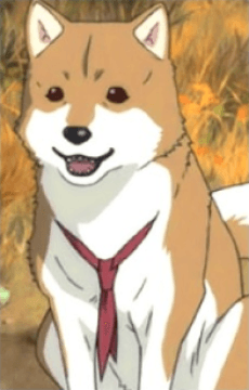 Tobimaru