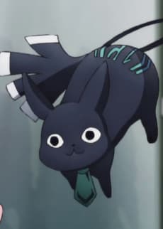 Sacchuu