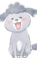 Inu-kun