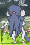 Sensei