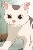 Gin