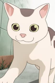 Gin