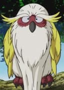 Toki Toki