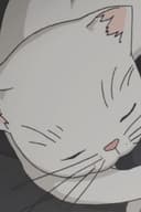 Marshmallow