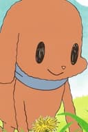 Pankui