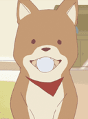 Pochi