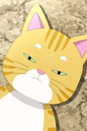 Kim Meowmeow