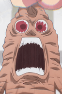 Mandragora
