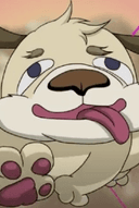 Inu