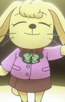 Usagi