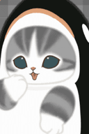 Shachi Nyan