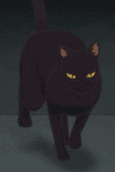 Nora Neko