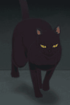 Nora Neko