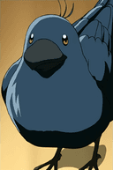 Sora