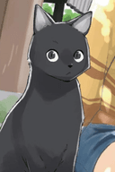Chito