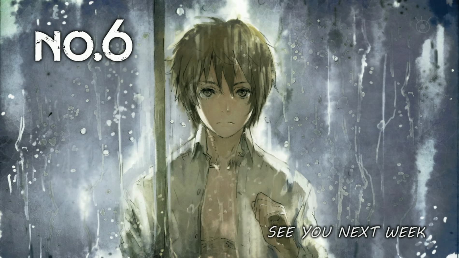 NO.6