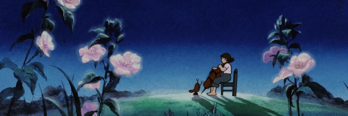 Cello Hiki no Gauche
