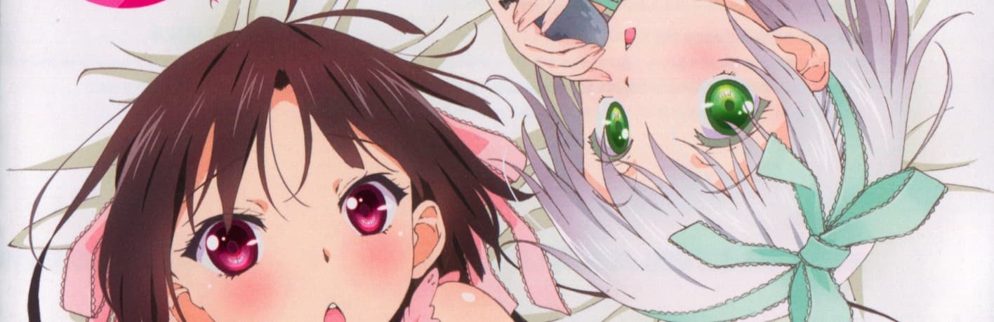 Onii-chan Dakedo Ai Sae Areba Kankeinai yo ne!