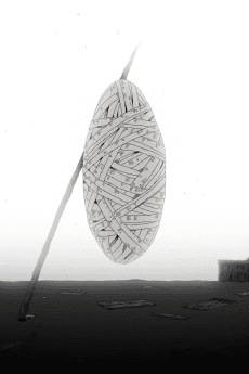 Cocoon