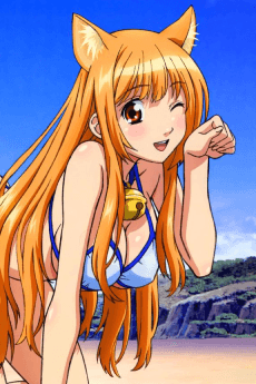 Asobi ni Iku yo! Asobi ni Oide