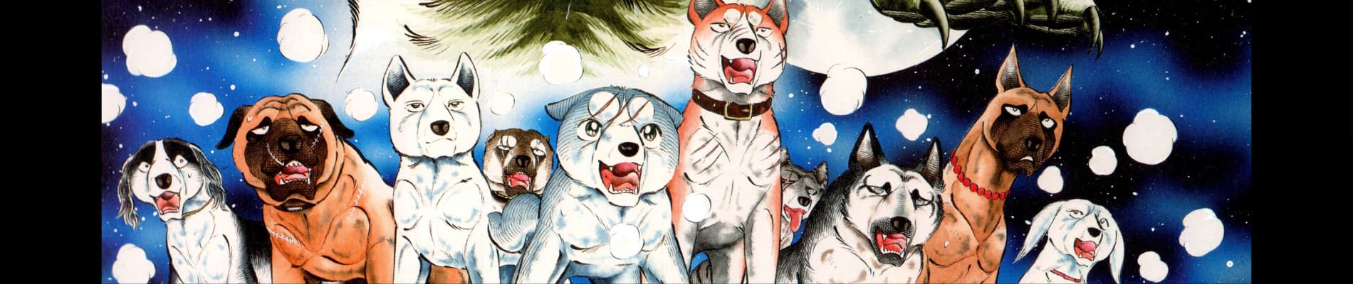 Ginga: Nagareboshi Gin