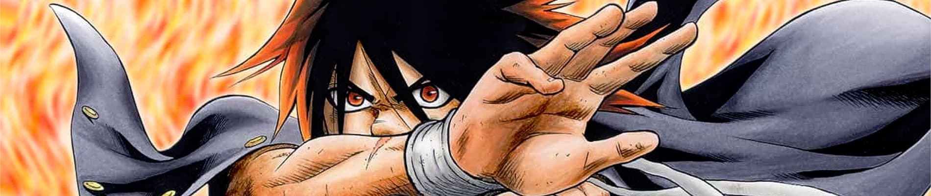 Hinomaru-Zumou
