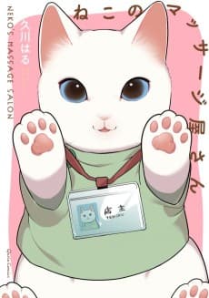 Neko no Massageya-san
