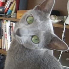 Tsubasa Nunoura