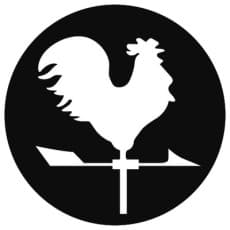Kazamidori